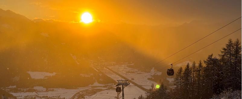 whatsapp-image-2025-01-10-at-08-51-48